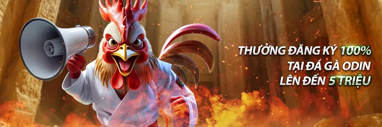 Đá gà trực tuyến nohu666 đăng nhập